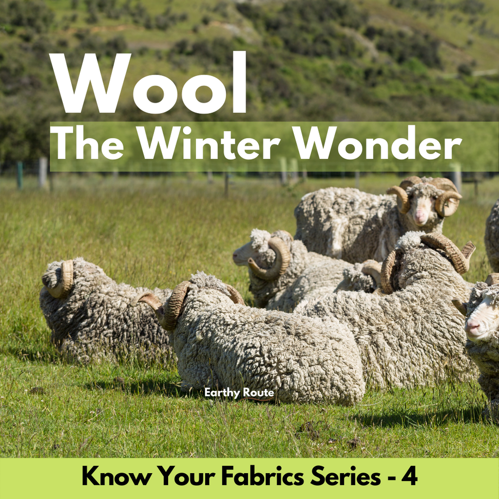 Is Wool a sustainable fabric by Earthy Route
